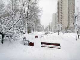 city park after snowfall at day