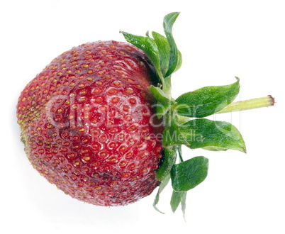 one raw red Strawberry