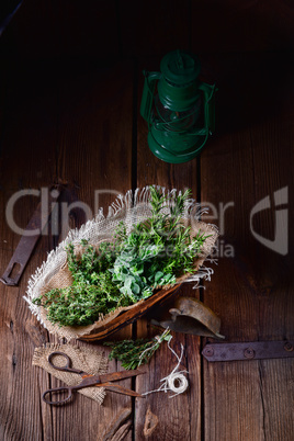 Herbal collection of: thyme,oregano, rosemary