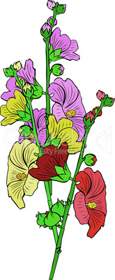 bouquet of three flowers mallow yellow, red and pink with green stems