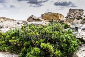 Marsaskala