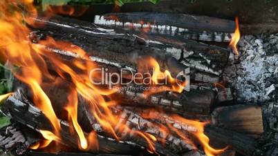 Burning firewood with tongue of flame