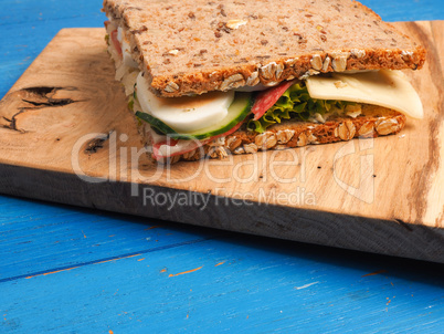 Tasty sandwich on a blue table