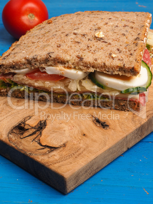 Tasty sandwich on a blue table