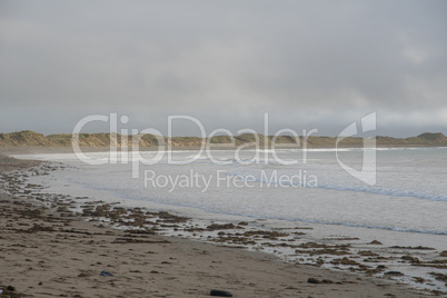 Beach at ballyheigue in irleand