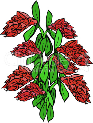 bouquet of red flowers and green leaf