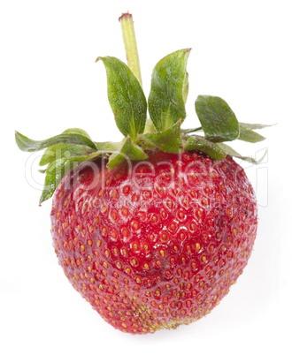 one raw red Strawberry