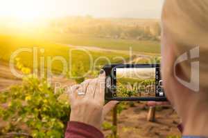 Woman Taking Pictures of A Grape Vineyard with Her Smart Phone