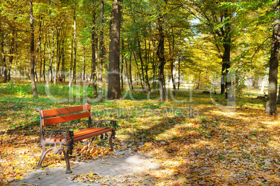 Beautiful autumn park with paths and benches.
