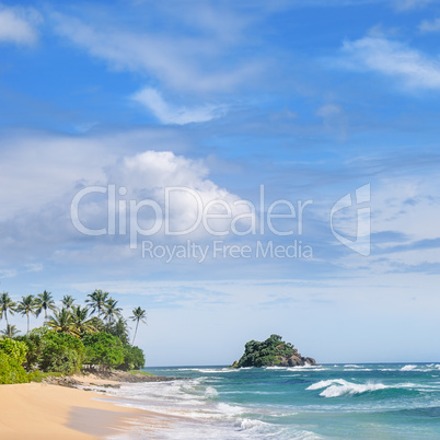 Picturesque beach and blue sky. Coastline of Sri Lanka.