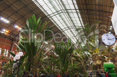 view of the botanical garden inside the Atocha train station
