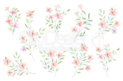 Floral bouquet set. Flowers and leaves garden background