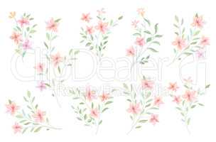 Floral bouquet set. Flowers and leaves garden background