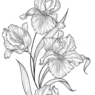 Floral seamless vertical decorative border. Flower iris etching