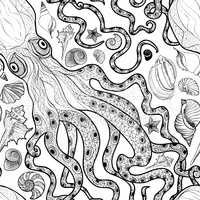 Octopus and seashell seamless pattern. Sea mollusk ornament. Mar