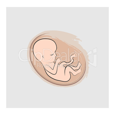 Fetus icon. Embryo sketch illustration