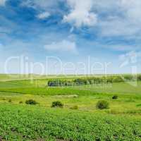 Hilly green field and windmill on blue sky background.