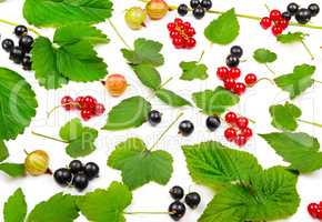 Black and red currants, gooseberries and leaves isolated on whit