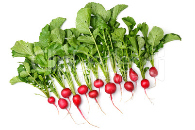 bunch of radish tubers isolated on white background.