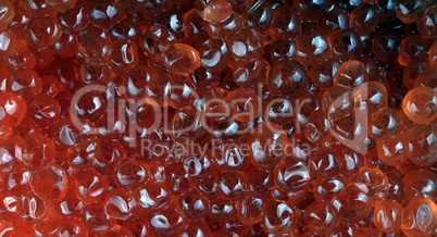 red caviar at day