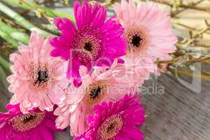 gerbera and branches