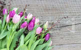 bouquet of pink and violett tulips