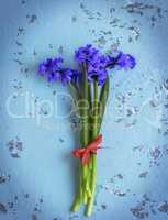 a bouquet of blue hyacinths