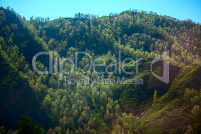 green mountain ridge scene