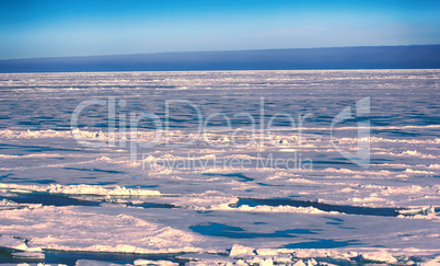 Northern sea ice background winter bright