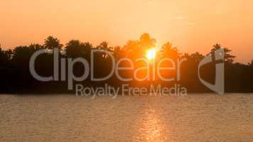 Sunset on Indian river, sun in crowns of palms