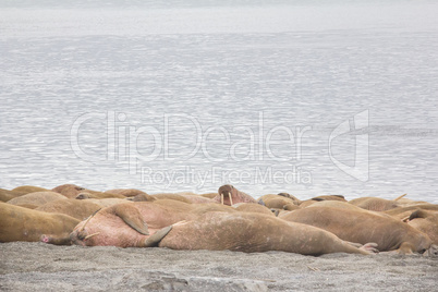 sleeping on sand big bodies