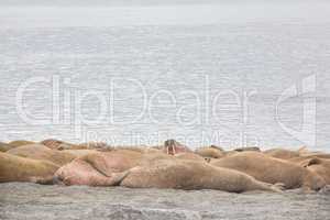 sleeping on sand big bodies