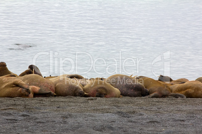 sleeping on sand big bodies