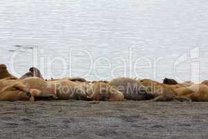 sleeping on sand big bodies