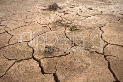 Picture of drought: drying up of water bodies due to lack of precipitation