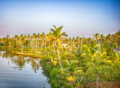 Kerala backwaters