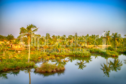 Kerala backwaters