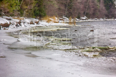 frozen coast sea in winter