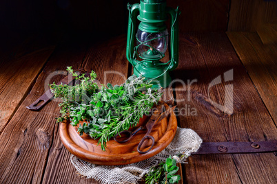 Herbal collection of: thyme,oregano, rosemary