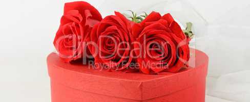 Gift box in the form of heart and scarlet roses on white wooden.