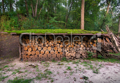 Firewoods under canopy