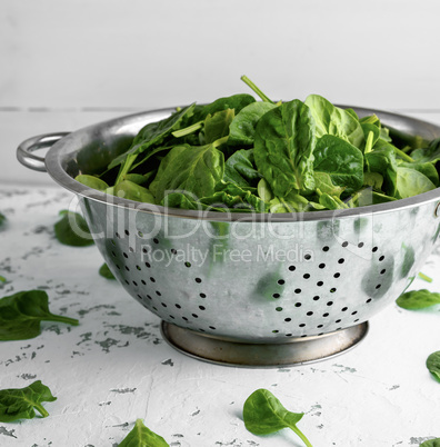 green spinach leaves in an iron colander