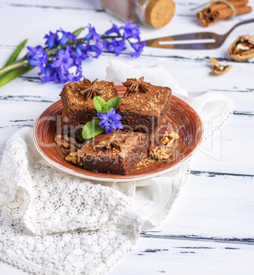 chocolate brownie pieces lie on a round plate