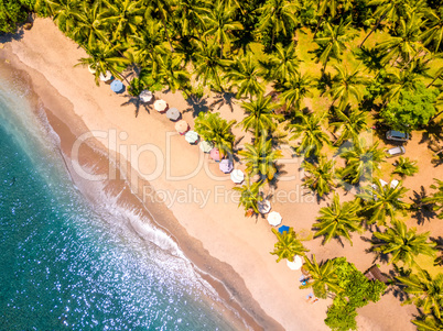 Tropical Beach and Many Palm Trees. Aerial View