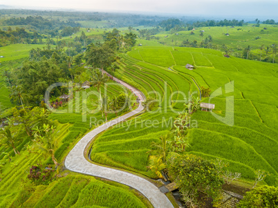 Terraces of Rice Fields in Indonesia and a Winding Footpath. Aer