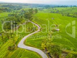 Terraces of Rice Fields in Indonesia and a Winding Footpath. Aer