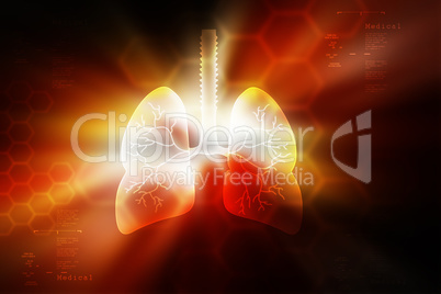 Human lungs in color bacbground