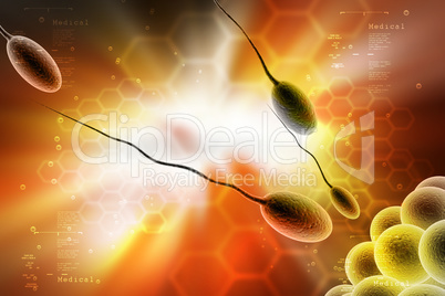 moving sperm and egg in color background