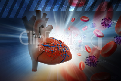 Human heart with platelets and virus in color background