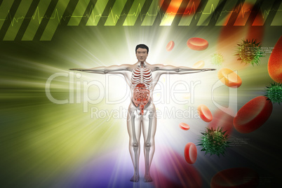 Human digestive system with, blood cells and virus in color background